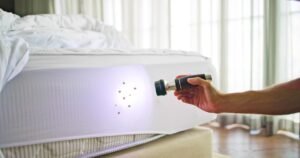 Bedbug Inspection York