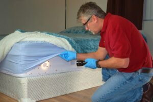 Bedbug Inspection York