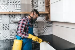 Bedbug Prevention York