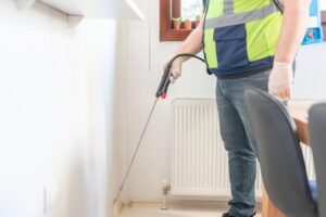 Bedbug Prevention York