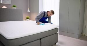 Bedbug Prevention York