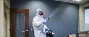Landlord Bedbug Treatment York