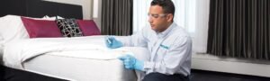 Bedbug Removal York