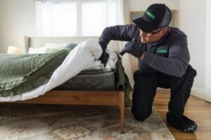 Hotel Bedbug Treatment York