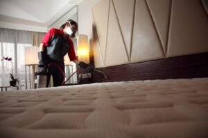 Hotel Bedbug Treatment York