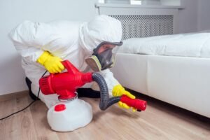 Residential Bedbug Treatment York