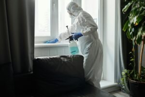 Commercial Bedbug Treatment York