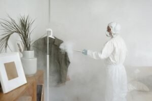 Commercial Bedbug Treatment York